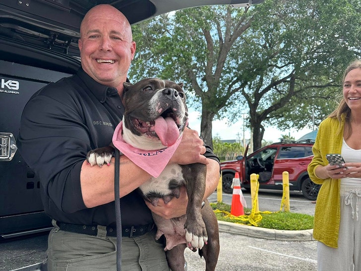 cop dog palm beach county sheriffs office 1