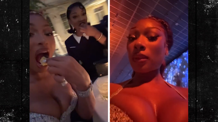 c59e0bef1e7643e8b79c74acff8c64d1_md 050625 megan thee stallion kal.jpg