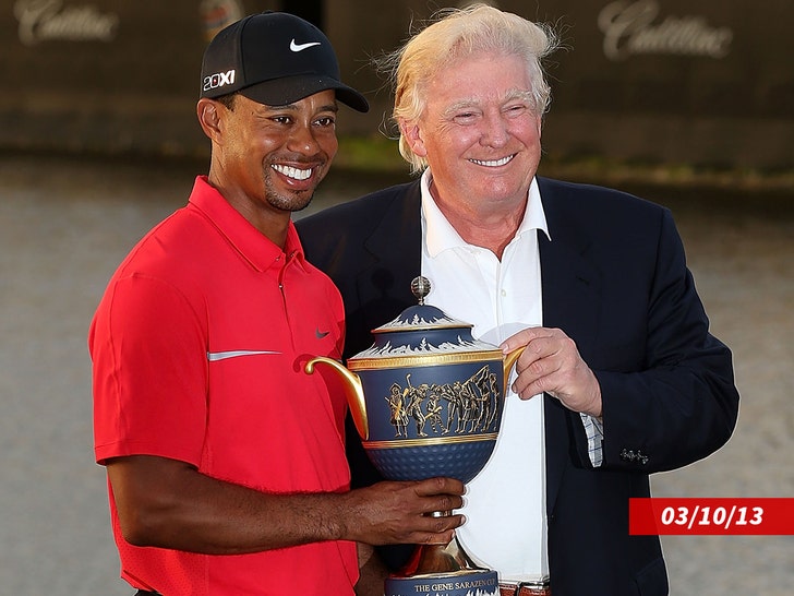 c6cce5eb74bd47369dc095ab4ea71385_md tiger woods donald trump