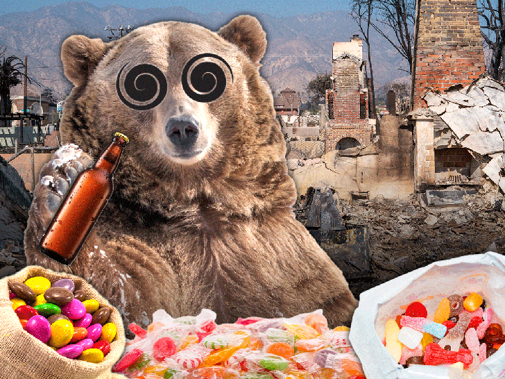 c6ef63d4af4d463983a9bdef9636962d_md drunk-sugar-bear-altadena-getty-main