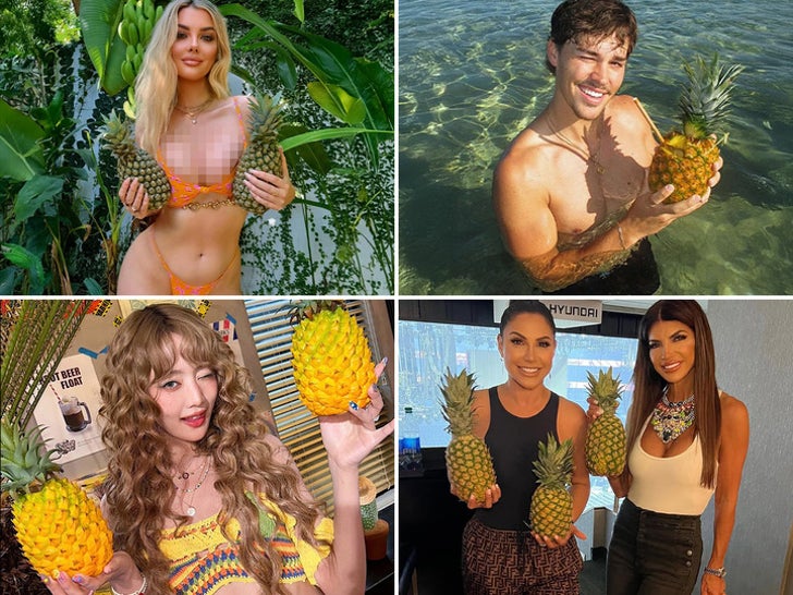 c8c68806865f4bcc9fd81a340992af8f_md Stars with Pineapples