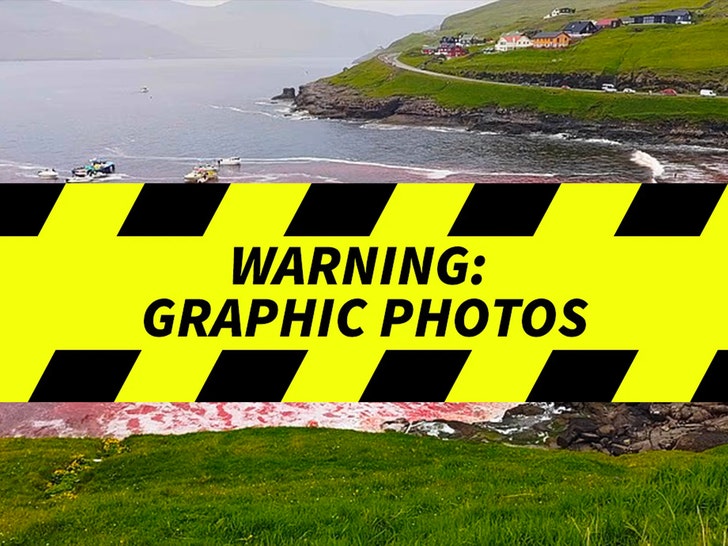 cc8dad8fc73f4b518dd5b3dc1bc8a5e1_md Faroe Islands’ Controversial Dolphin Slaughter – Graphic Content
