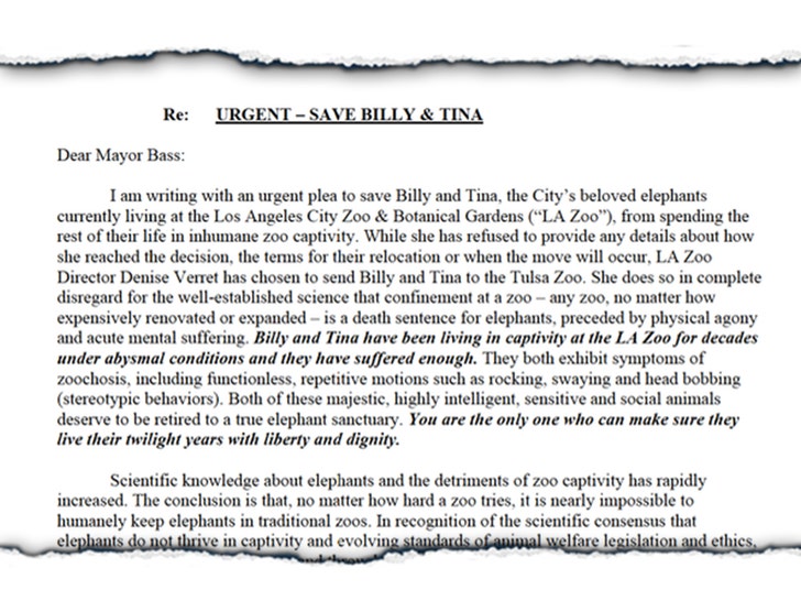 cde075a0a9ba45d79a80557791c1bf73_md save billy and tina doc launch 1