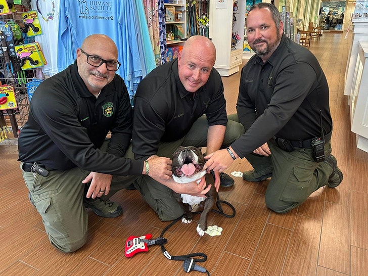 cop dog palm beach county sheriffs office 3
