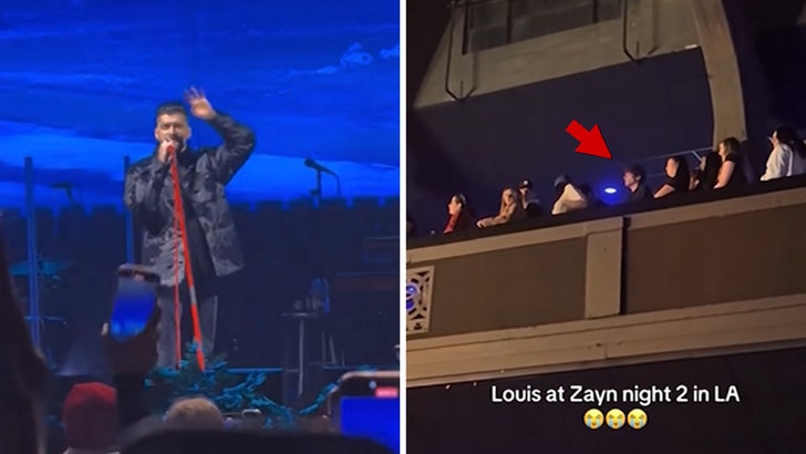 d10514be6624427ea30a5b39005868c1_md 013025_zayn_louis_kal