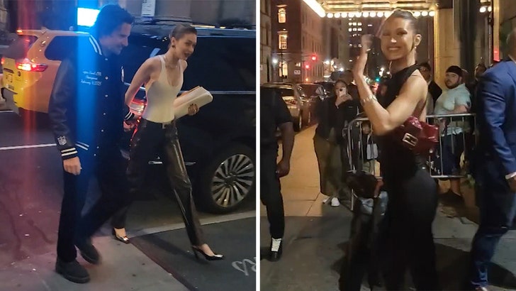 d14656d3409c439298056507ad757440_md 042625_gigi_hadid_birthday_kal