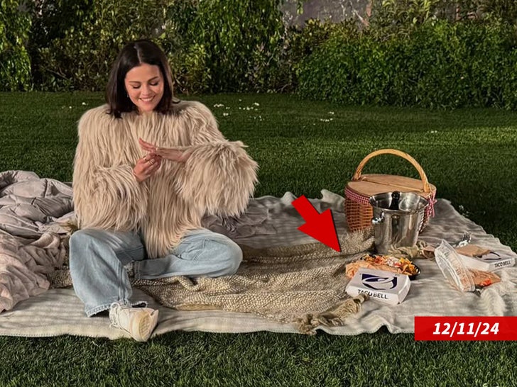 d38a2e14eb1c43f5911bb0ef62c16659_md selena gomez taco bell box sub instagram swipe