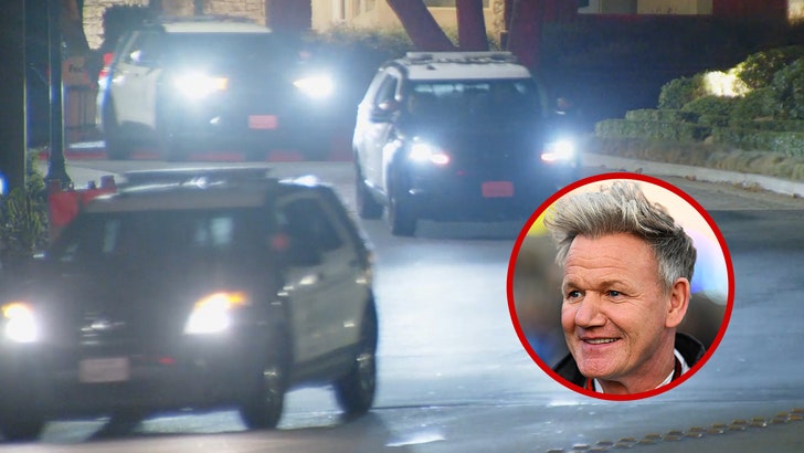 d5e28df8fdf5437ba8b4eafbb7e3746d_md 092325_gordon_ramsey_swatting_kal
