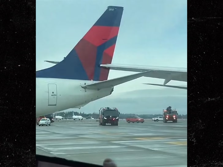 Delta Japan Airlines planes collide Seattle Airport