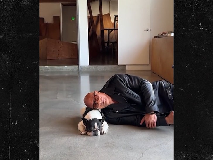 d84da5714c2148d6b3b4ffd4519de031_md 022525-dwayne-johnson-primary