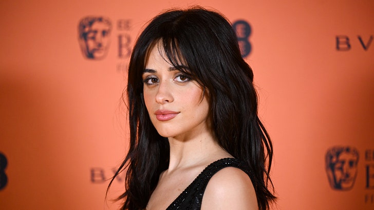 dc6b33bcb9ff44babc202561cadfdbd9_md camila