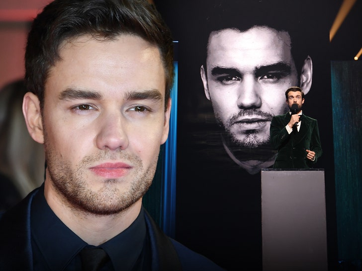 dceafe80e4324080a0ffa6424399386e_md liam payne brit awards tribute