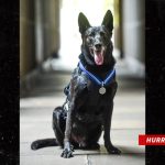 Kylie Kelce Raves About Taylor Swift, ‘Love & Appreciate Her’ for Making Travis Happy