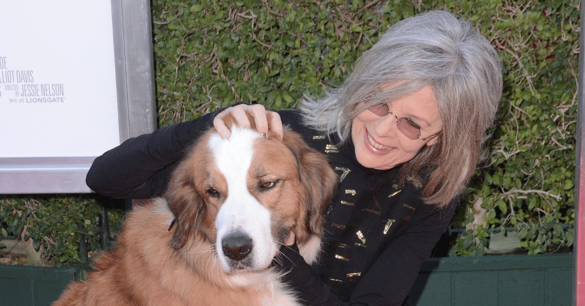 diane-keaton-will-leaves-dog-reggie-5-million-1760456507032 Photo of Diane Keaton