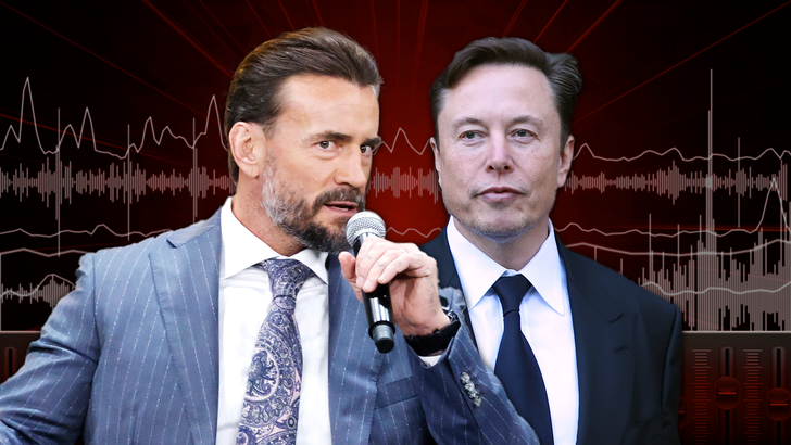 e1652dcee9c640ea8ff977b924bd12b7_md cm-punk-elon-musk-Audio-Template