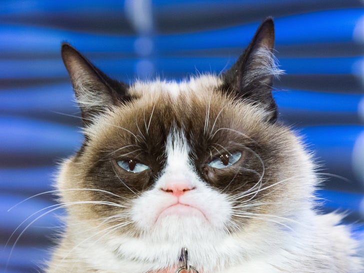 e1c7029a848c5d3baa1710667c0a90aa_md Famous Pets