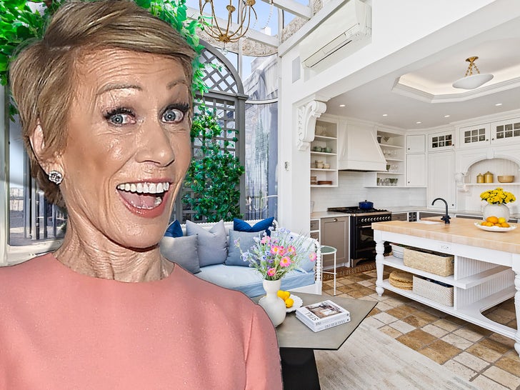 e55c2cd466c045768ba117ea390aaeb7_md Barbara Corcoran's New York Apartment