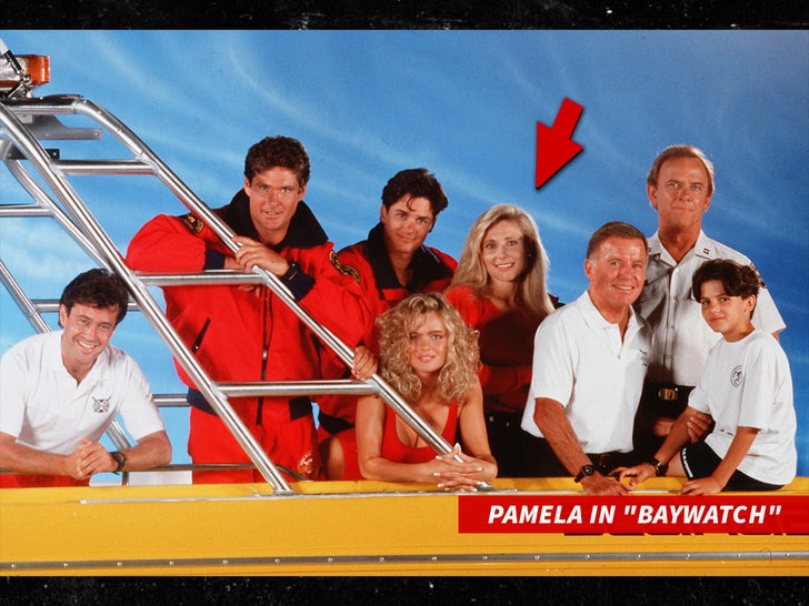 e55cacadc1da4b2b8afd4d2480c7f439_md pamela bach baywatch shutterstock sub swipe