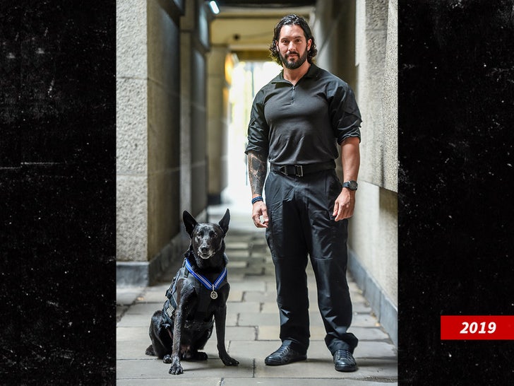 e5a647ee86154608be8b908d9f50a0c1_md hurricane dog marhsall mirarchi sub getty swipe