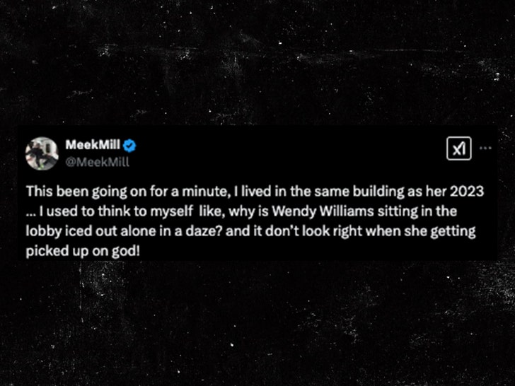 e5d17049fc514fd1931f188581447088_md meek mill on wendy williams x 1
