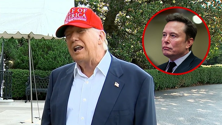 e5f5f944b2d04d96a9f3d38b0a4e1b34_md 070125_donald_trump_elon_kal