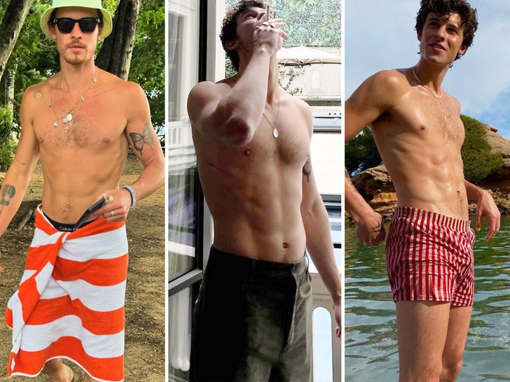 e6a865251b76422b96fb2a6b3ee65dd7_md Shawn Mendes' Shirtless Shots