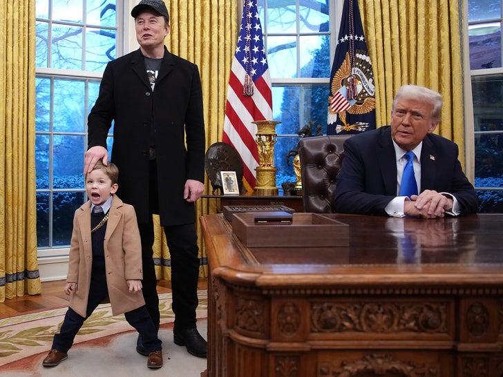 e9dbba41b7d948ac94fd0525dfed43d1_md 211-Elon-Musk--X-Musk-Donald-Trump-SUB