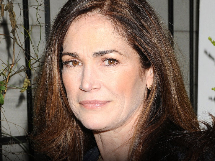 eb8934c84015419880ed3be8f64a2eed_md 'NYPD Blue' Star Kim Delaney Allegedly Tried to Run Husband Over With Her Car