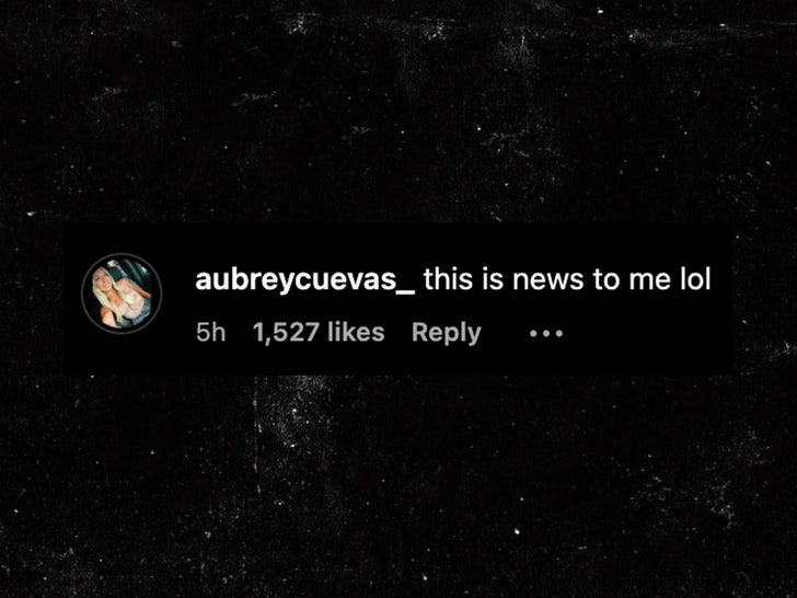 aubrey cuevas instagram sub