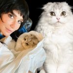 A$AP Rocky Rejected Plea Bargain Because It Was a Career Ender