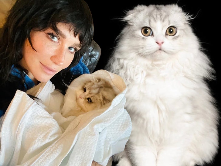 eefa05abb64845ae9dc78ca0f88929fc_md kesha cat death