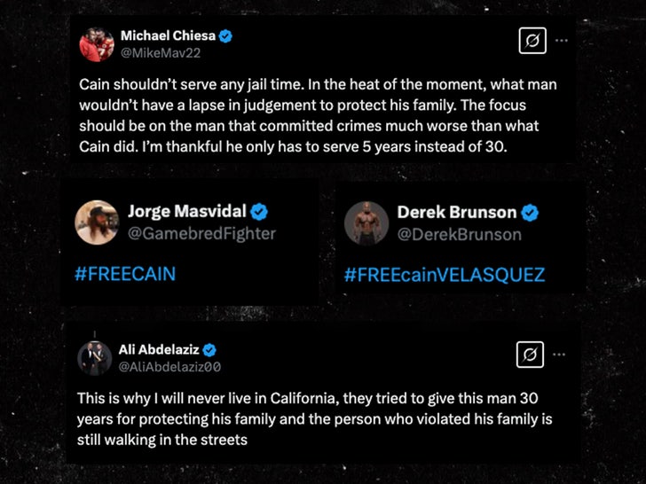 cain velasquez tweet responses sub