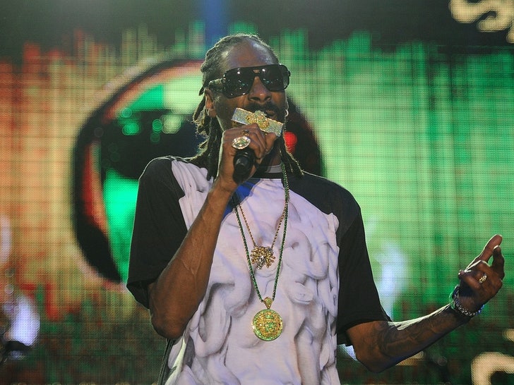 ef54f8cb48cf45119b6f3c65ba011b22_md Snoop Dogg's Performance Photos