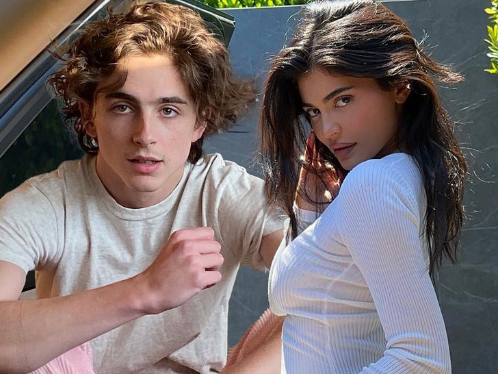 efd8df01d6024b51b8c64407cad43de8_md-1 Timothee Chalamet and Kylie Jenner -- The Hot Couple