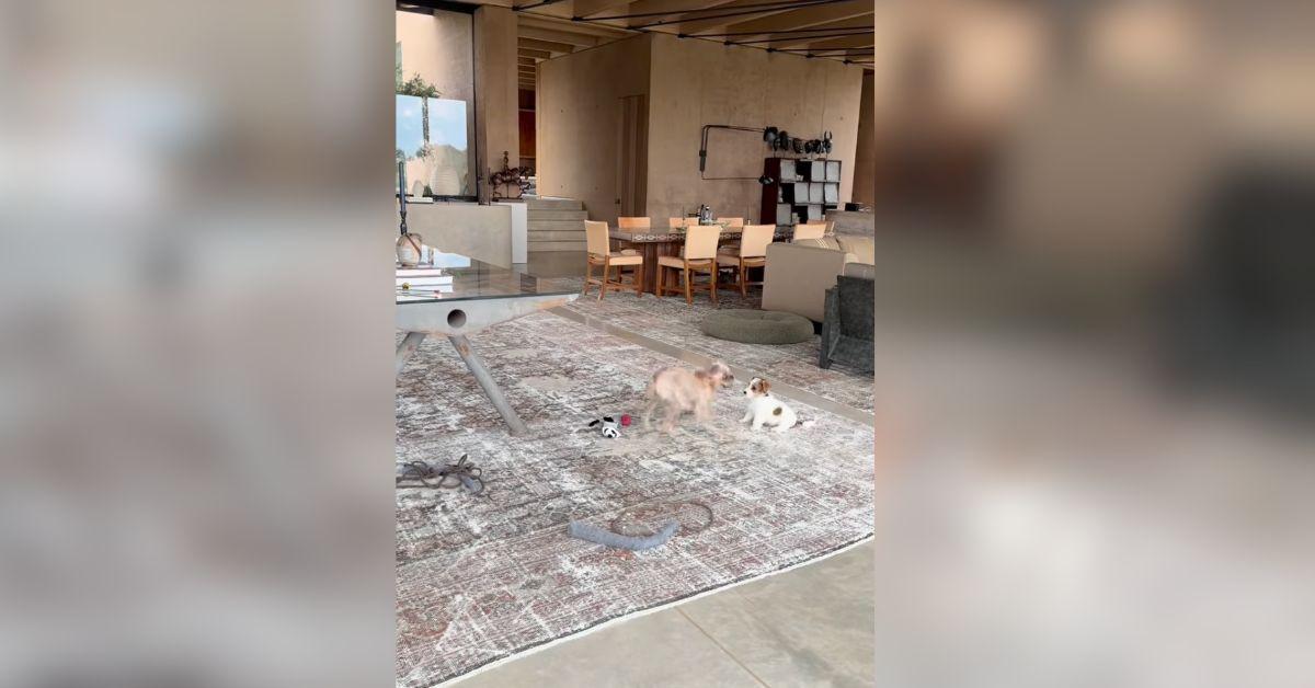 ellen-degeneres-cotswolds-home-inside-tour-rare-look-1761161185161 Photo of Ellen DeGeneres Home