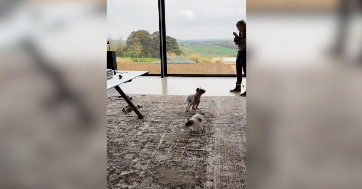 ellen-degeneres-rare-look-inside-uk-home-1761160929198 Photo of Ellen DeGeneres Home