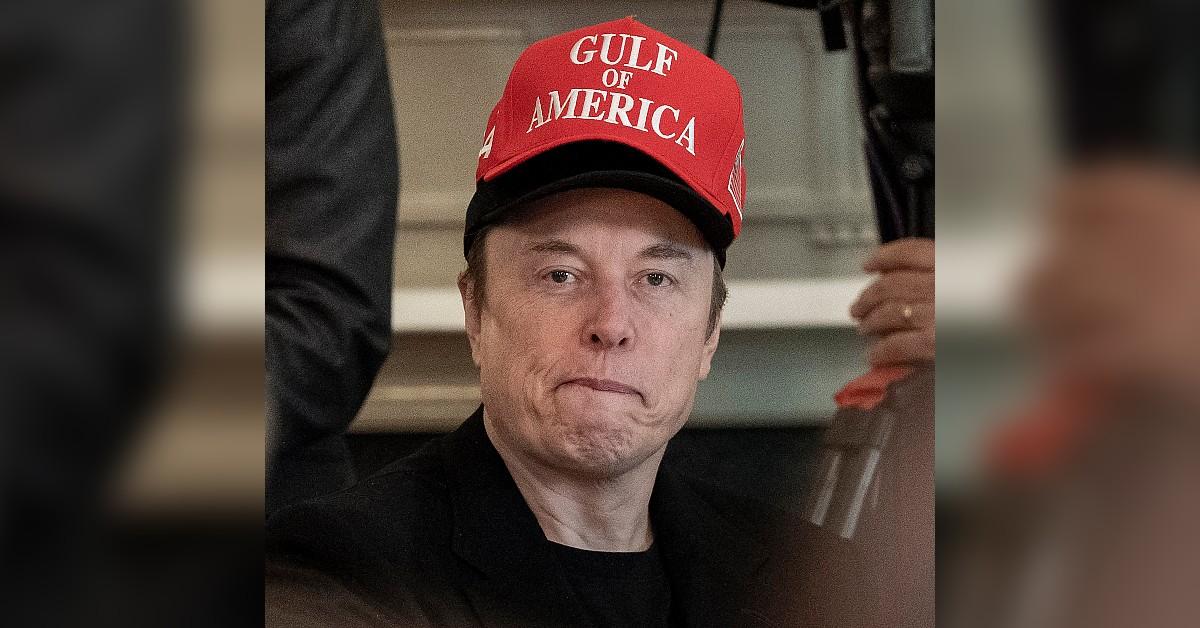 elon-musk-bad-neighbor-security-guards-parties-fence1-1746641440287 elon musk bad neighbor security guards parties fence