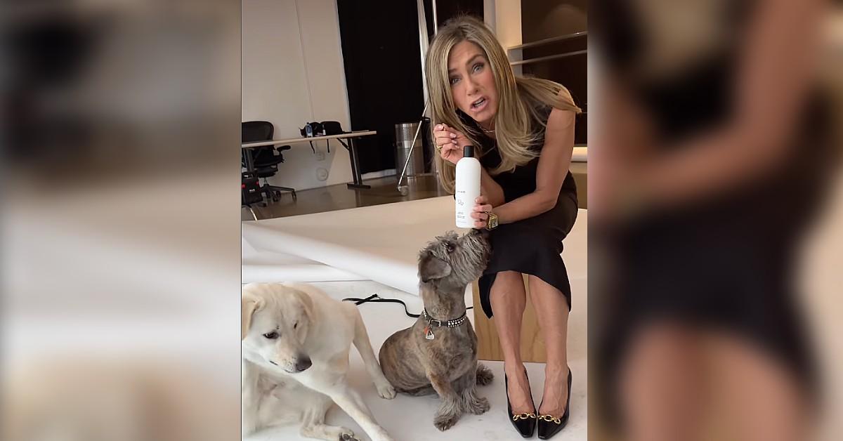 exclusive-jennifer-aniston-and-her-hippie-influencer-lover-set-to-adopt-pet-in-preparation-for-madonna-style-family5-1759944680774 Photo of Jennifer Aniston