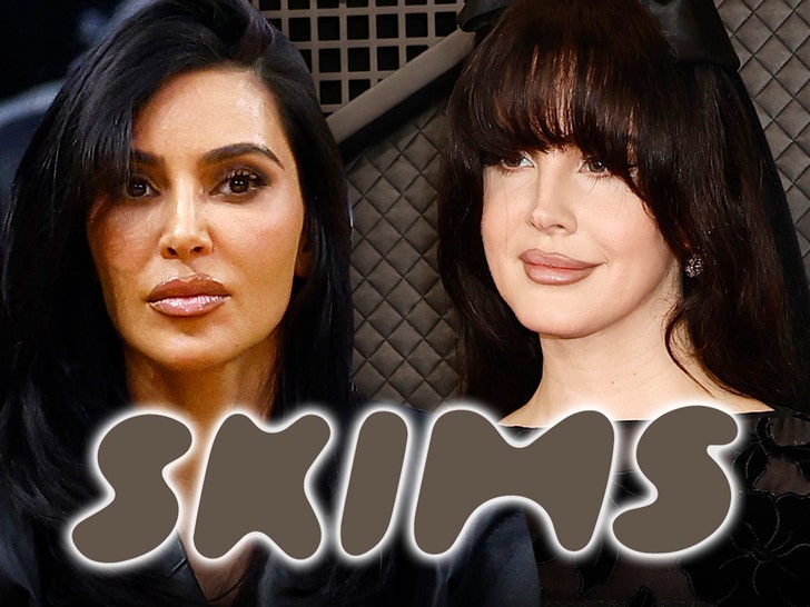 f56fd2a5a4f6439f9653e005088c6aab_md Kim Kardashian Is Not Suing Lana Del Rey