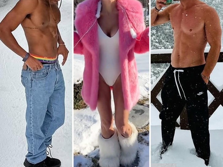 f6fd584bbdd742e5a3e2b3e1ce63f408_md Sexy Stars In Snow -- Guess Who!