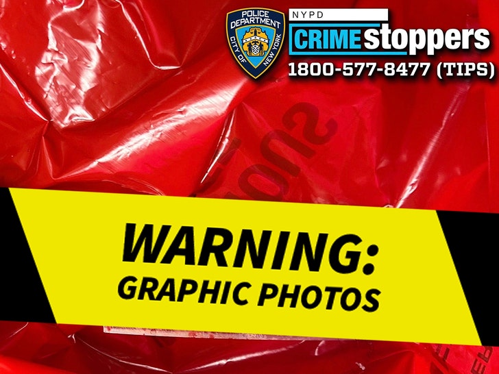 f9103ee5fef64464bada123780cde59f_md Weapons Recovered by NYPD in Brooklyn Stabbing