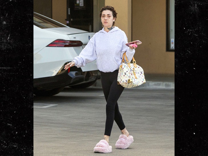 f9666cceec0d47da820a7e602630790f_md bhad bhabie danielle bregoli backgrid split