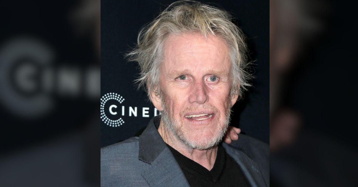 gary-busey-gets-probation-sex-crimes-plea-2-1760004854296 Photo of Gary Busey