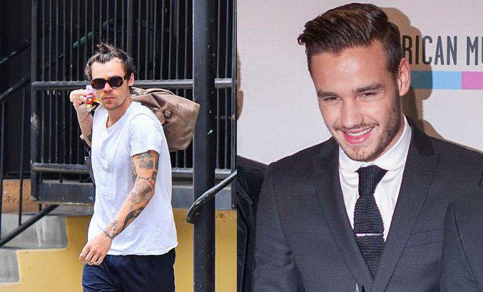 harry-styles-zero-interest-in-reuniting-with-one-direction-2-1736783332035 harry styles zero interest in reuniting with one direction
