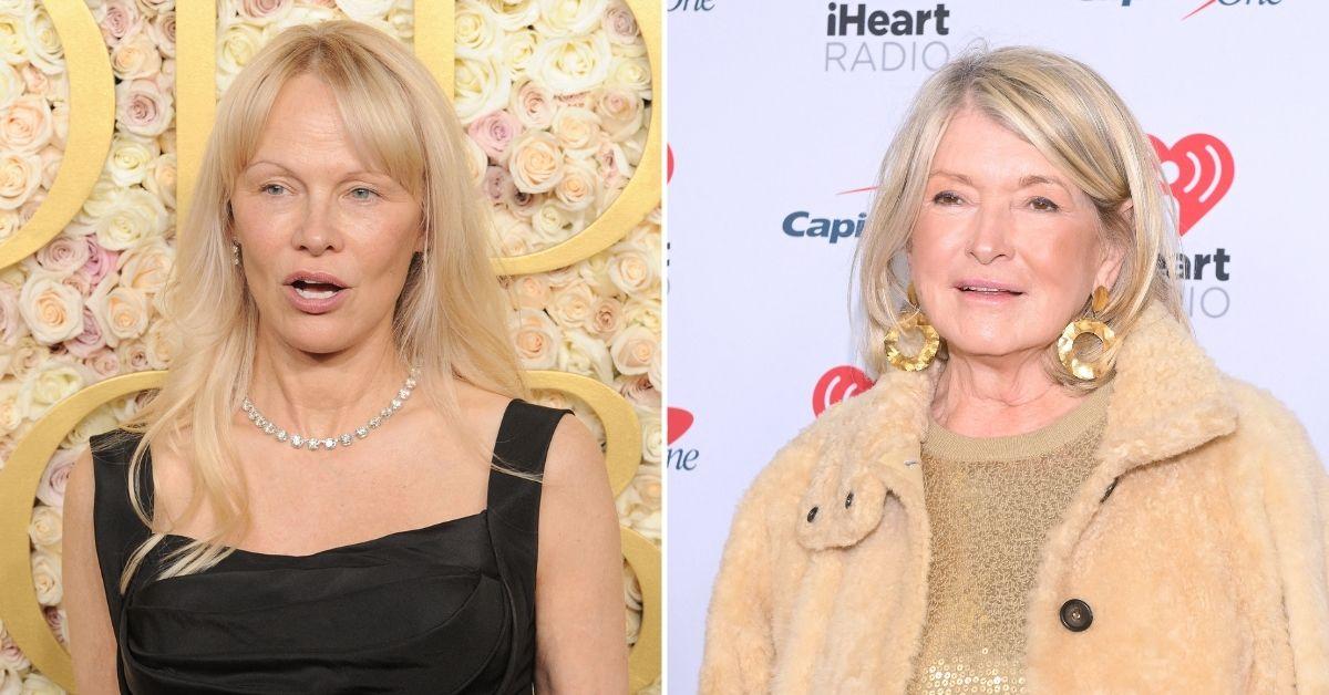 hollywood-brutal-catfight-barbra-streisand-martha-stewart-1-1739210086032 hollywood brutal catfight barbra streisand martha stewart