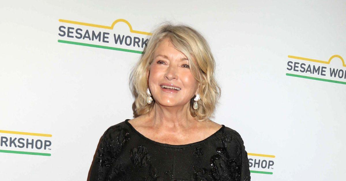 hollywood-brutal-catfight-barbra-streisand-martha-stewart-4-1739210323442-1 hollywood brutal catfight barbra streisand martha stewart