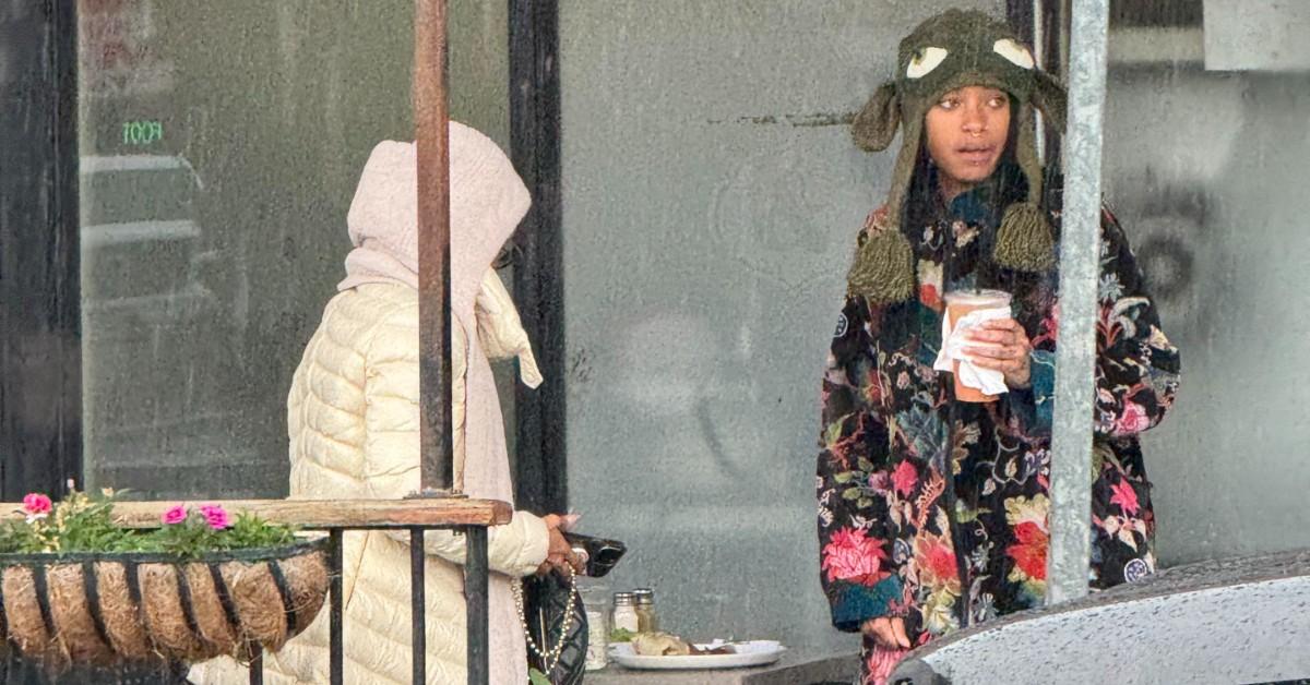 jada-pinkett-smith-willow-smith-fire-chat-33-1738092171981 jada pinkett smith willow smith fire chat