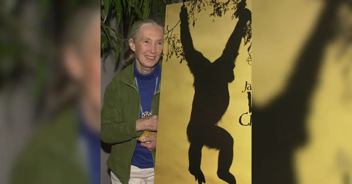 jane-goodall-cause-of-death-cardiac-arrest2-1760975211176 Photo of Jane Goodall