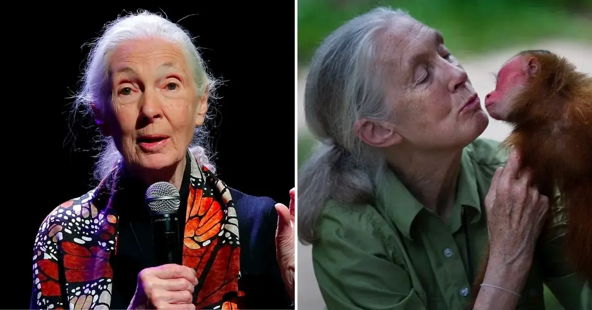 jane-goodall-cause-of-death-cardiac-arrest3-1760975876558 Photo of Jane Goodall