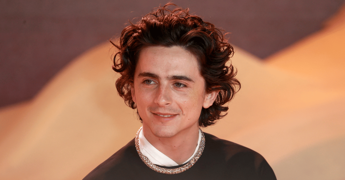 joe-jonas-claims-timothee-chalamet-ghosted-his-texts-for-a-year-4-1733269427688 joe jonas claims timothee chalamet ghosted his texts for a year